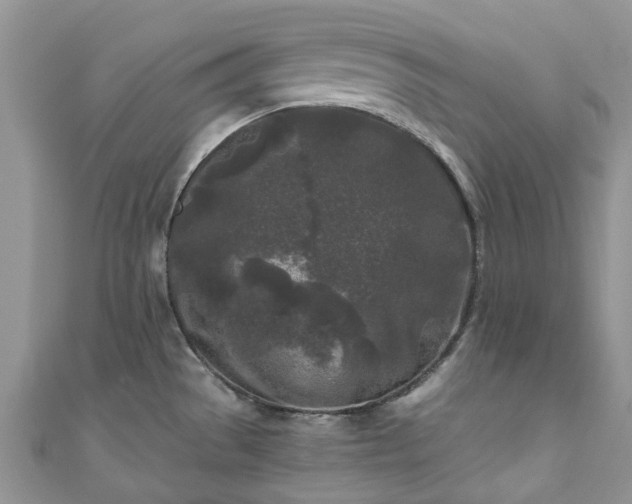 X0000111011529200906261509