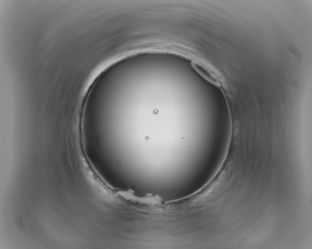 X0000111011530200906261509