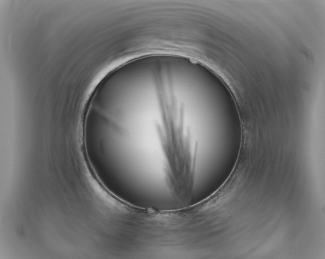 X0000111011531200906261509