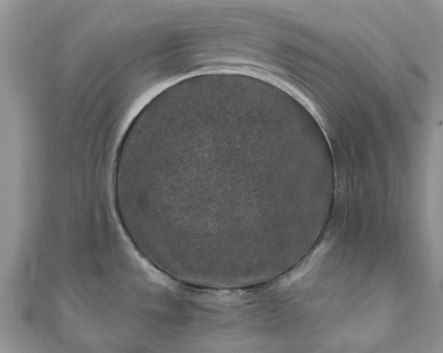 X0000111011533200906261509