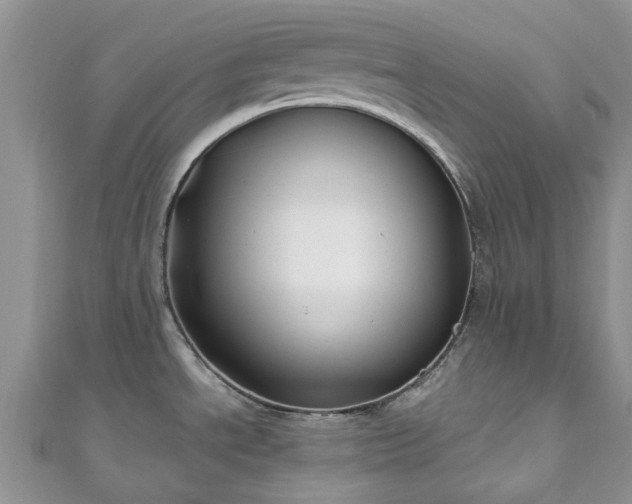 X0000111011534200906261509