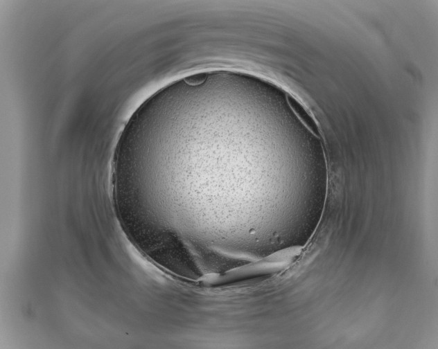 X0000111011535200906261509