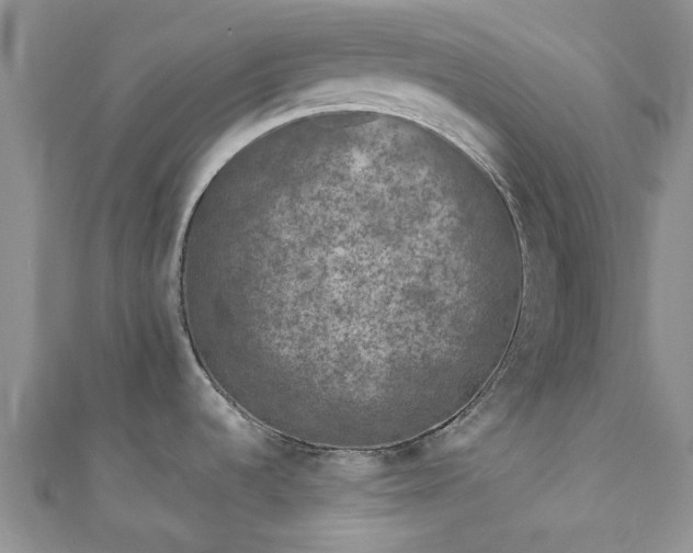 X0000111011536200906261509