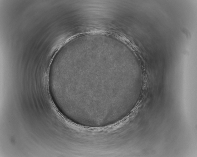 X0000111010002200907061005