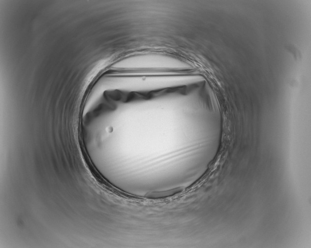 X0000111010003200907061005