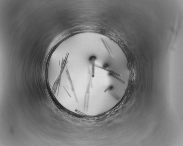 X0000111010004200907061005