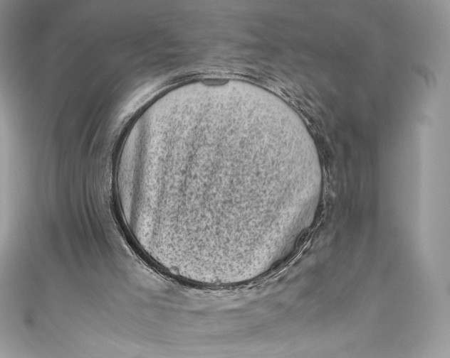 X0000111010005200907061005
