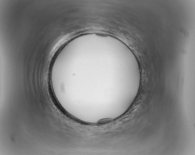 X0000111010007200907061005