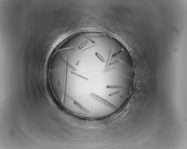 X0000111010008200907061005