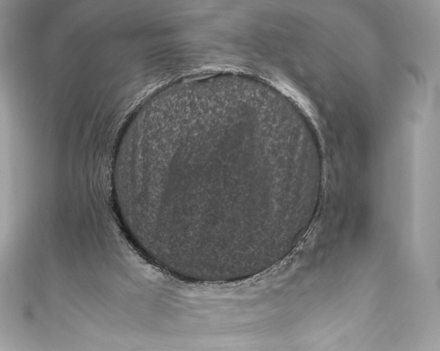 X0000111010009200907061005