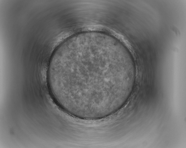 X0000111010010200907061005