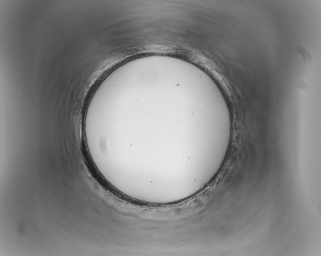 X0000111010011200907061005