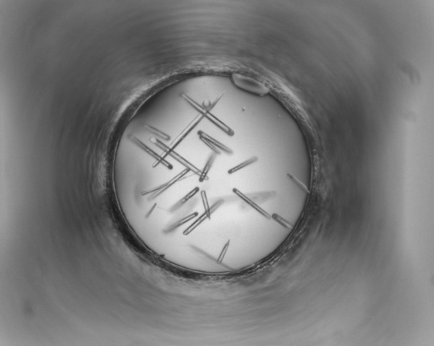 X0000111010012200907061005