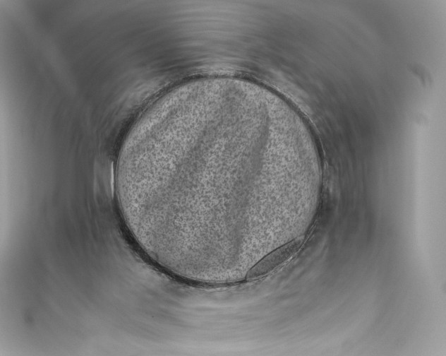 X0000111010013200907061005