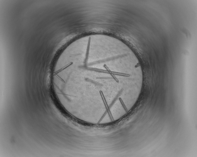 X0000111010016200907061004