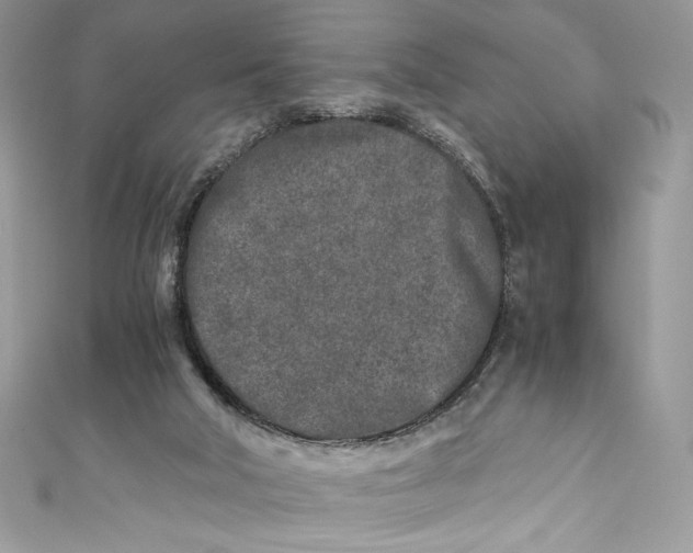 X0000111010018200907061004