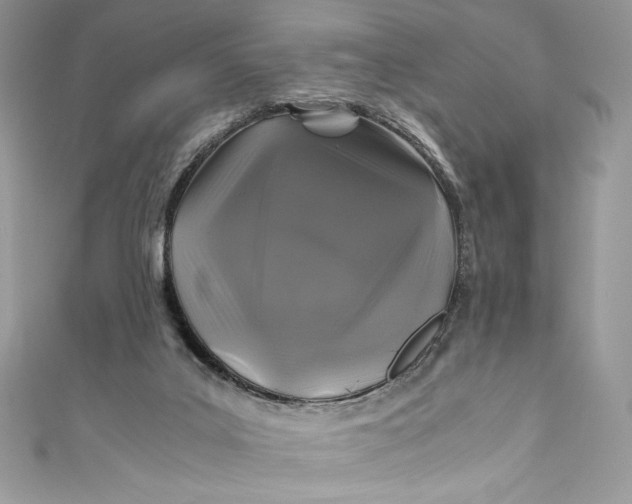 X0000111010019200907061004