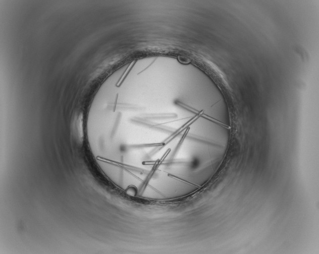 X0000111010020200907061004