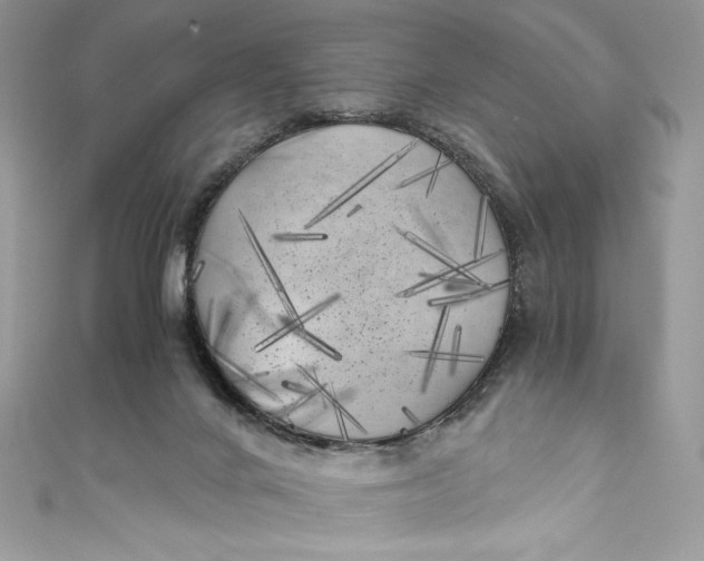 X0000111010024200907061004