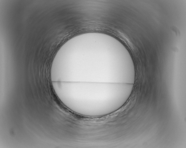 X0000111010025200907061004