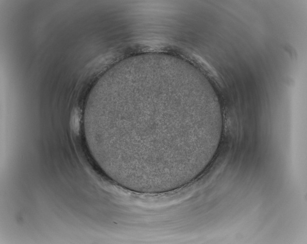 X0000111010026200907061004