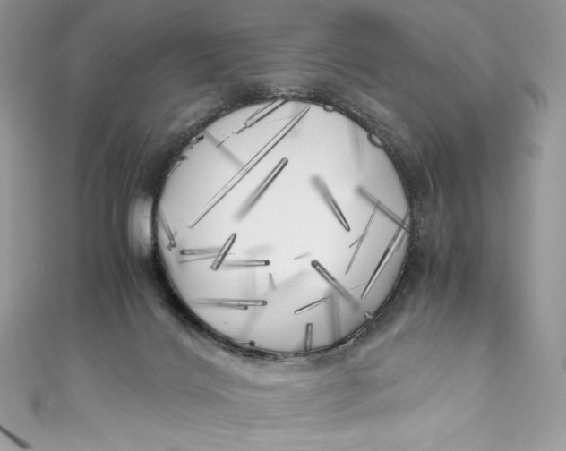 X0000111010028200907061004
