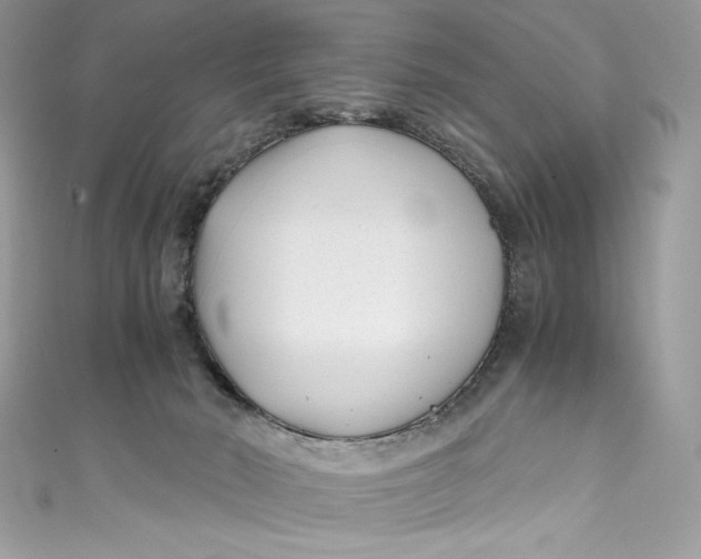 X0000111010030200907061004