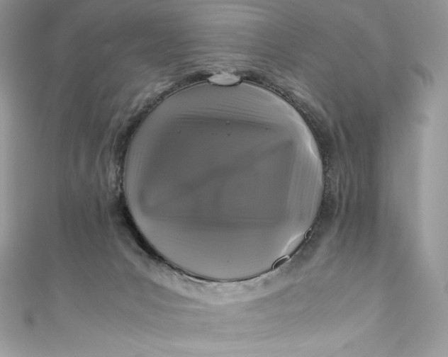 X0000111010031200907061004