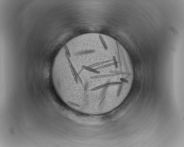 X0000111010032200907061004