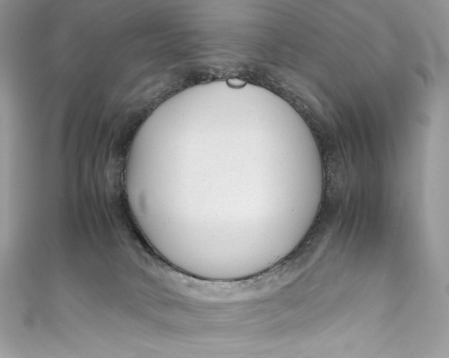 X0000111010034200907061004