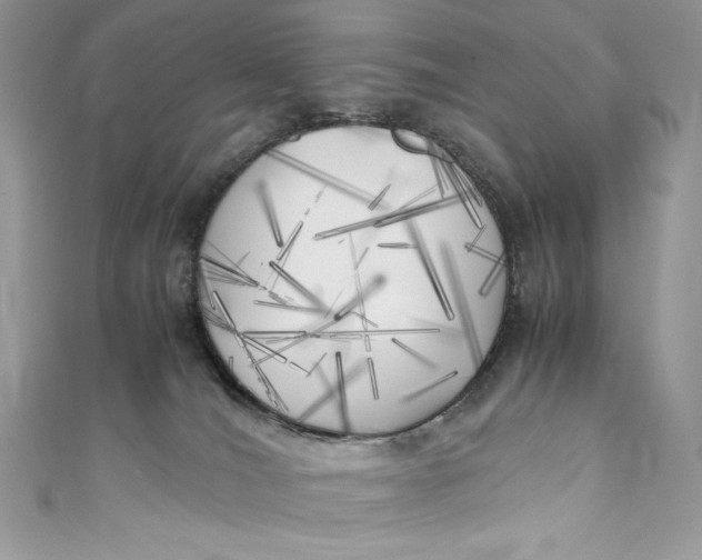 X0000111010036200907061004