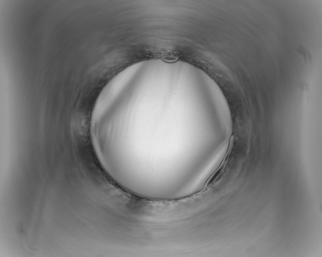 X0000111010037200907061004