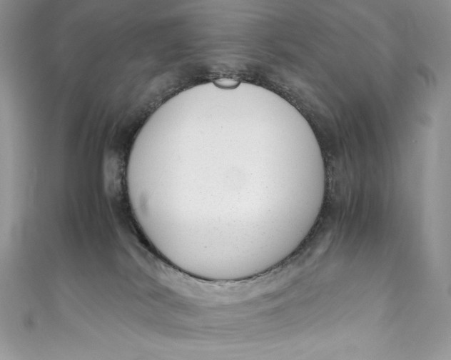 X0000111010038200907061004