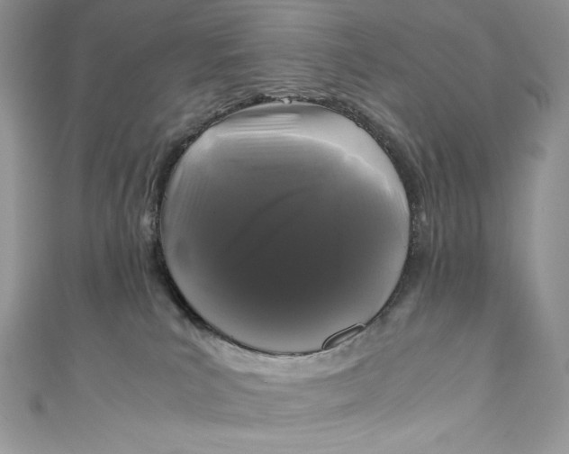 X0000111010039200907061004