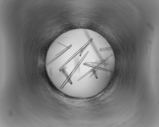 X0000111010040200907061004