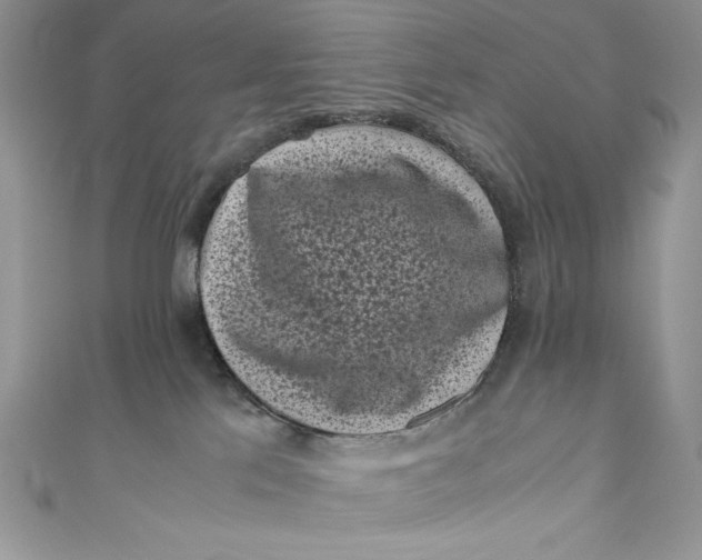 X0000111010041200907061004