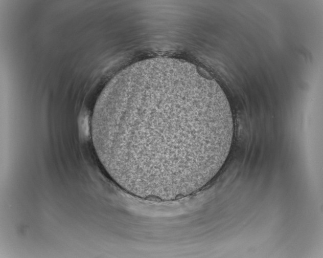X0000111010042200907061004