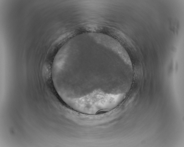 X0000111010043200907061004
