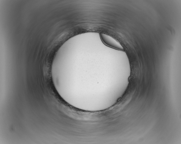 X0000111010044200907061004