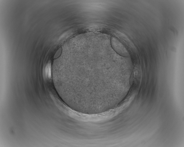 X0000111010046200907061004