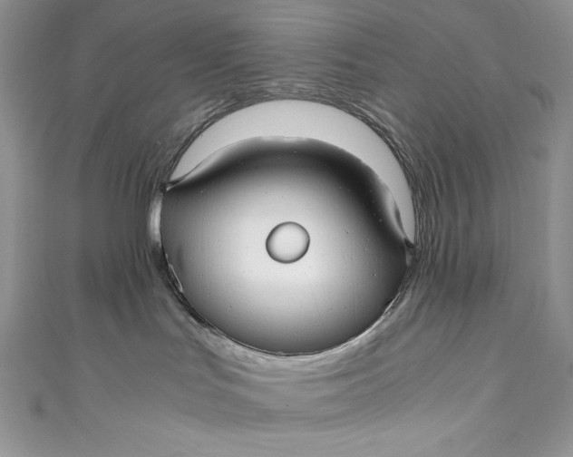 X0000111010047200907061004
