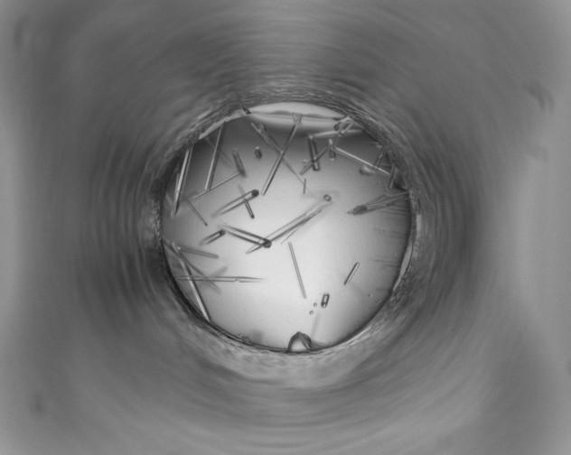 X0000111010048200907061004