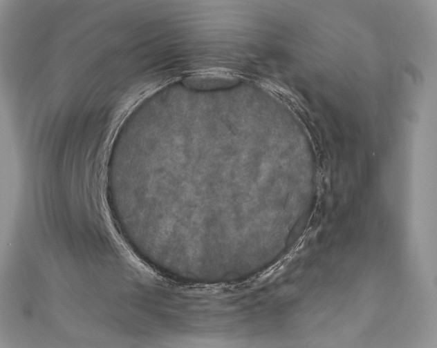 X0000111010049200907061003