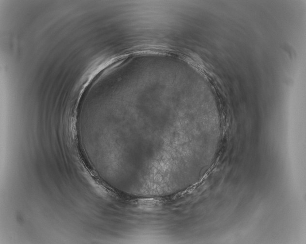 X0000111010050200907061003