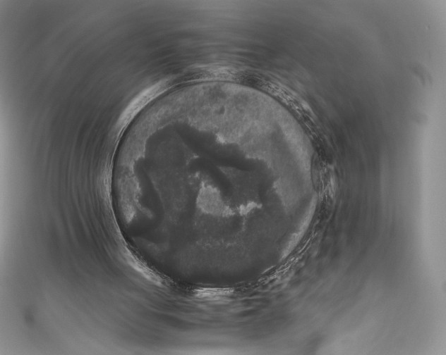 X0000111010051200907061003