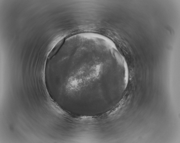 X0000111010052200907061003