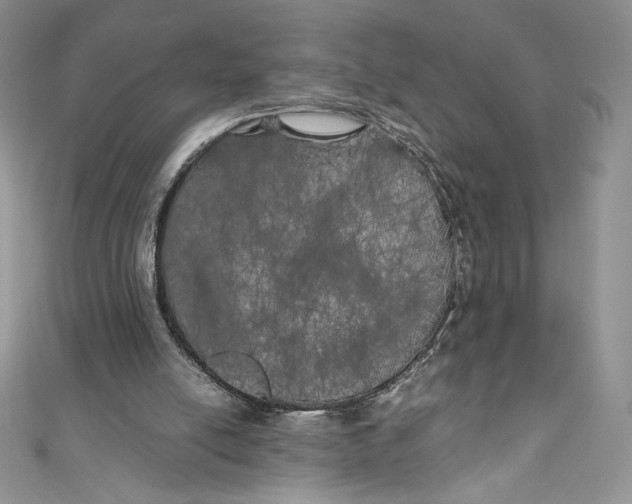 X0000111010054200907061004