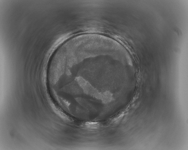 X0000111010055200907061004