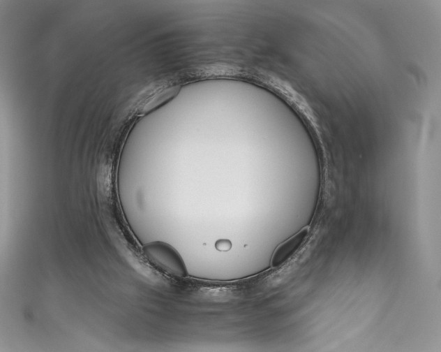 X0000111010057200907061004