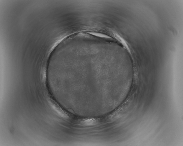 X0000111010059200907061004